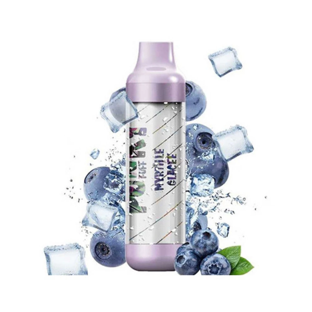 E-Cigarette Jetable 5000 Puffs Punky Puff - Myrtille Glacée Sans Nicotine Ni Tabac 5 E-Cigarette Jetable 5000 Puffs Punky Puff - Myrtille Glacée Sans Nicotine Ni Tabac – Image 3